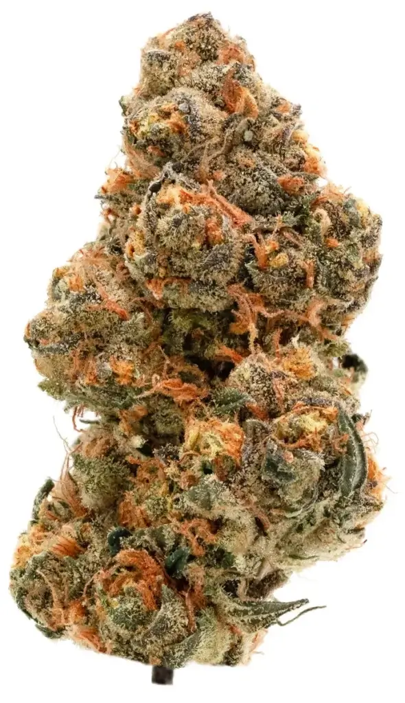 Buy key lime pie strain