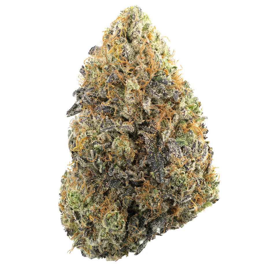 Key Lime Pie strain - Cali Exotics Bud Shop - Cali Cannabis Dispensary Key Lime Pie strain