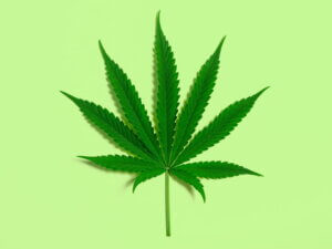 Remote Cannabis Jobs