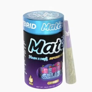 berry gelato