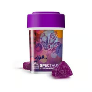 berry gelato