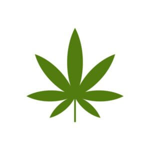 cali exotic budshop