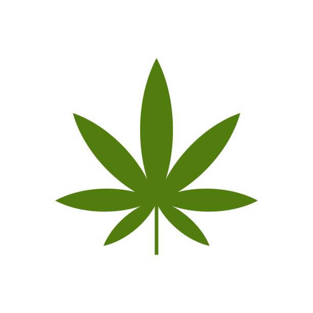 cali exotic budshop