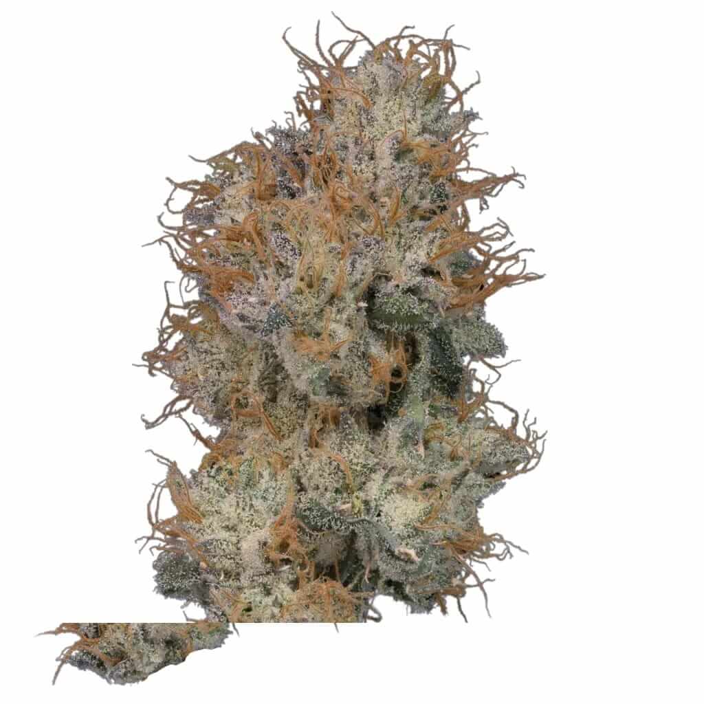 zoap strain