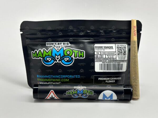 scooby snacks strain