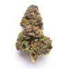 scooby snacks strain