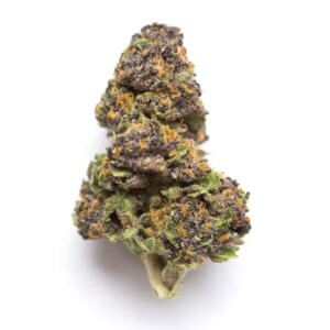 scooby snacks strain