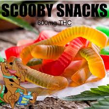 scooby snacks strain