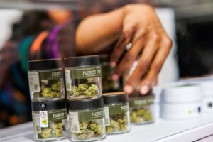 cali exotics bud shop