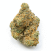 watermelon z strain