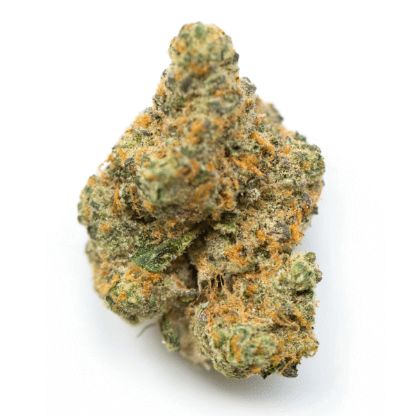 watermelon z strain