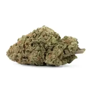 Blue Dream THCa Flower 3.5g – Balanced Blueberry x Haze Hybrid