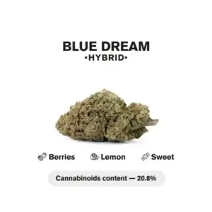 Blue Dream THCa Flower 3.5g – Balanced Blueberry x Haze Hybrid