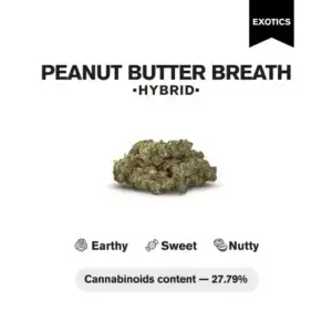 Peanut Butter Breath THCa Flower 3.5g – Nutty Hybrid