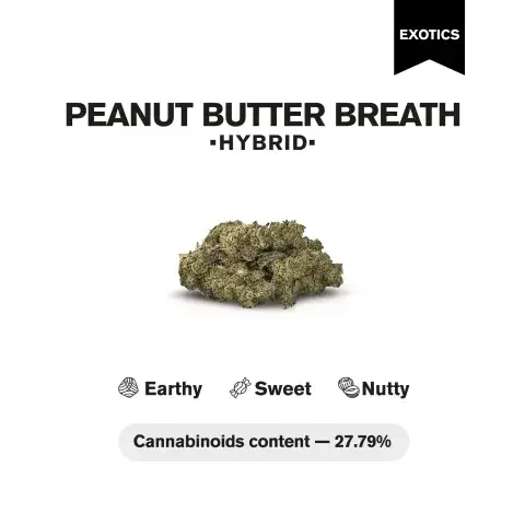 Peanut Butter Breath THCa Flower 35g Nutty Hybrid 4 - Cali Exotics Bud Shop - Cali Cannabis Dispensary Peanut Butter Breath THCa Flower 3.5g – Nutty Hybrid