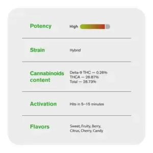 Pink Runtz THCa Flower 4