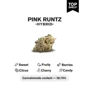Pink Runtz THCa Flower 4