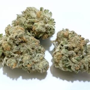 Punch Breath THCa Flower