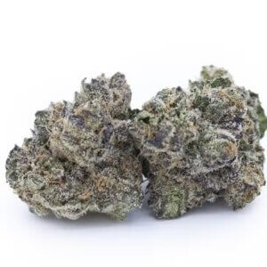 Purple Churro THCa Flower