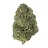 Sherbadough THCa - Cali Exotics Bud Shop - Cali Cannabis Dispensary Sherbadough THCa