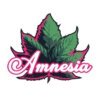 Amnesia 1g Bubble Hash King Louis XIII - Cali Exotics Bud Shop | California Cannabis Dispensary Amnesia 1g Bubble Hash King Louis XIII product image