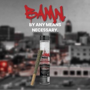 Bamn 1g Preroll Papaya product image