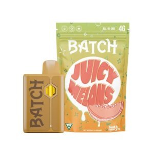 Batch 4g Disposable Juicy Melons product image