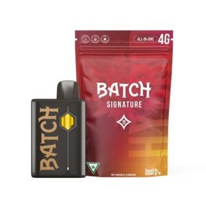 Batch 4g Disposable OG Kush product image