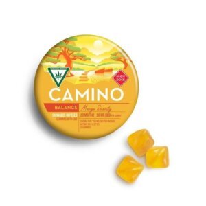 Camino 200mg THC 200mg CBD Gummies Mango product image