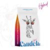 Candela 3 5g Prepack Blicky product image