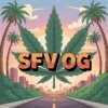 Deli San Fernando Valley OG - Cali Exotics Bud Shop | California Cannabis Dispensary Deli San Fernando Valley OG product image