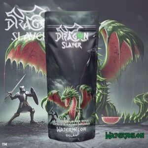 Dragon Slayer 1 2g Infused Preroll Watermelon product image