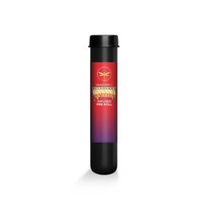 Dragonfly 1 25g Infused Preroll Apple Fritter product image