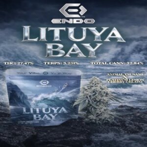 Endo 3 5g Prepack Lituya Bay product image