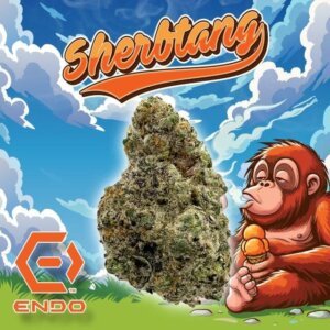Endo 3 5g Prepack Sherbtang product image
