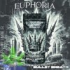Euphoria 1 3g Live Resin Infused Preroll Bullet Breath product image