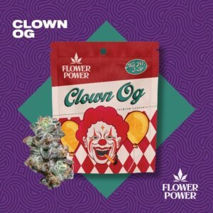 Flower Power 3 5g Prepack Clown OG product image