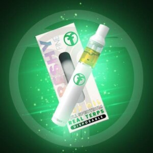 Freshy Fine 1g Disposable Mac 1 product image