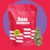 Fun House 28g Pre Pack Candy Rain product image