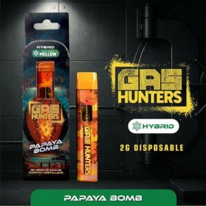 Gas Hunters 2g Disposable Papaya Bomb product image