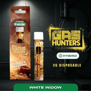 Gas Hunters 2g Disposable White Widow product image
