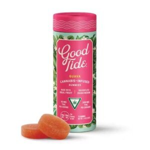 Good Tide 200mg Hash Rosin Gummies Guava H product image
