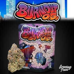 Growing Pains 3 5g Prepack Burnout OG product image