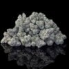 Grown Rogue Reserve Blue Runtz 3 5g Pack product image
