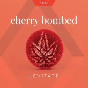 Levitate 200mg Single Gummy Cherry Bombed product image