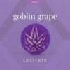 Levitate 200mg Single Gummy Goblin Grape product image