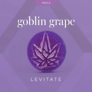 Levitate 200mg Single Gummy Goblin Grape product image