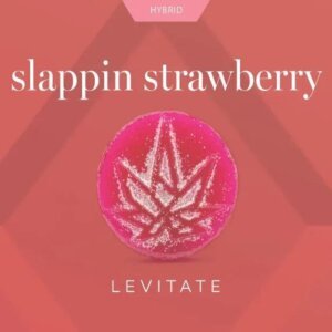 Levitate 200mg Single Gummy Slappin Strawberry product image