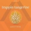 Levitate 200mg Single Gummy Trappin Tangerine product image