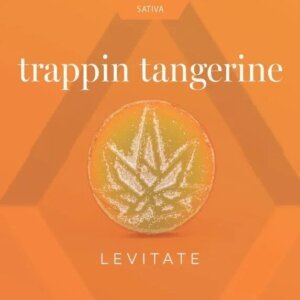 Levitate 200mg Single Gummy Trappin Tangerine product image